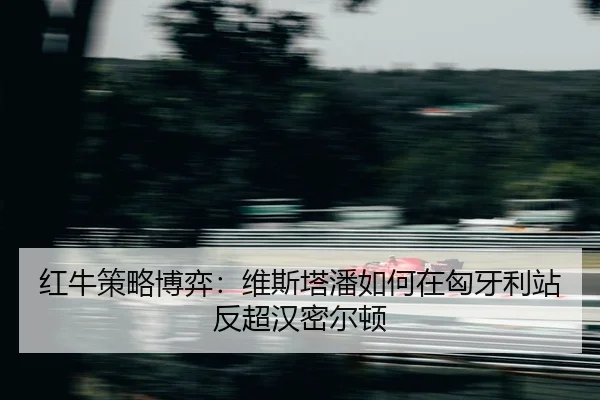 hong-niu-ce-lve-bo-yi-wei-si-ta-pan-ru-he-zai-xiong-ya-li-zhan-fan-chao-han-mi-er-dun-2-926.jpg