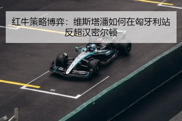 hong-niu-ce-lve-bo-yi-wei-si-ta-pan-ru-he-zai-xiong-ya-li-zhan-fan-chao-han-mi-er-dun-3-147.jpg