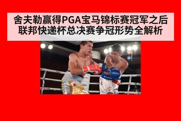 舍夫勒赢得PGA宝马锦标赛冠军之后联邦快递杯总决赛争冠形势全解析