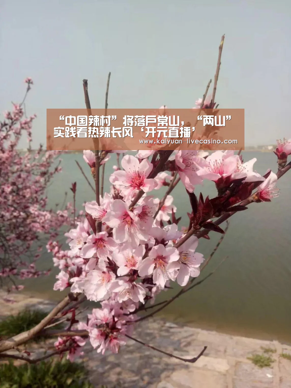 开元官网
